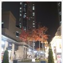 약손본가 이미지