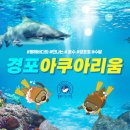 싱글벙글사 이미지