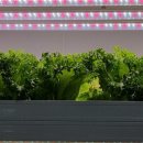 주식회사 바른팜 이미지