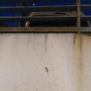 은미세탁소 이미지