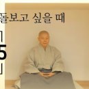 [부자아빠] 정목스님의 하루명상 이미지