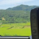 세라빌딩 | 오픽 쉽다고 한 사람 누구야... 오픽 두 번 다 망한 후기 / (토스로 갈아탐,,)