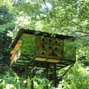 탄금대궁도장 이미지