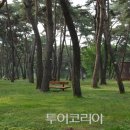 송호 이미지