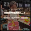 경기도 양평군 양평유치원 | 양평 굼프로곤충체험학습농장 방문 후기 ｜ 실내동물원 먹이주기 체험 9살 4살 아이와함께