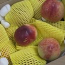 송한농장 | 신선복숭아 추천 농브라더스 위하브 신비복숭아 소과 1kg 택배후기