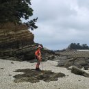 학암포항 이미지