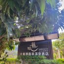 The Great Roots Foresty Spa Resort
