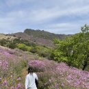 포시즌 황매산 호스텔 이미지