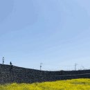 고망돌담 이미지