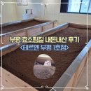 부개역 부평 웨딩 관리 테르엔 효소 찜질 내돈내산 솔직후기