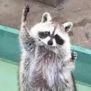 대덕대로-24 이미지