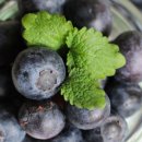 상촌농장 이미지