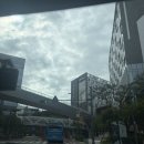 창업로 | 판교 호캉스 추천, 나인트리 바이 파르나스 데이유즈 &amp; 수영장 이용 후기