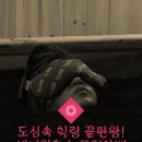 애니원효소 - 동구 동대전로248번길 19 | 애니원효소