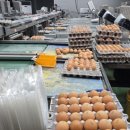 귀래농장 이미지