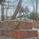 유성대로 877번길 이미지