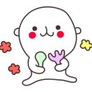 율참치 이미지