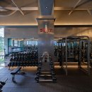 솔트스포츠 이미지