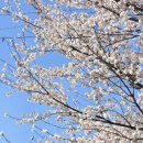 광의사거리 이미지