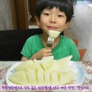 [성산 벧엘 농장 ] 친환경농법으로 제배한 성산 벧엘 양구 메론 달고 맛있어요^^