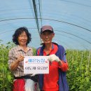 동읍농협 이미지