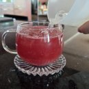 트와이슈 | [티젠 콤부차] 잘익은 리얼 자두맛 그 자체인 신상 자두맛 콤부차 후기