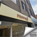 미오미오 고양이분양 이미지