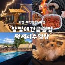 출산전 진짜진짜(?) 마지막 여행으로 다녀온 포천 애견동반 글램핑 ‘달빛애견글램핑 럭셔리수영장’