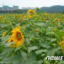 유전1농장 이미지