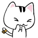 청화렌트카 이미지