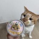 멍냥이수라간 | (내돈내산) 멍냥이수라간 고양이 생일케이크 후기 / 고양이레터링케이크 / 고양이수제간식