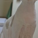 키튼하우스 이미지