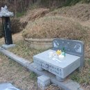 일등농약종묘도매상사 이미지