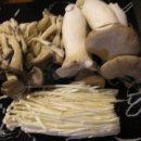 베스트웰빙 이미지