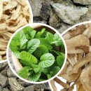 동하약국 이미지