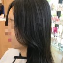 그리닷헤어