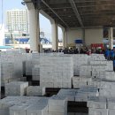 주문진산오징어 이미지