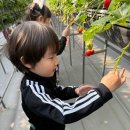 선후농장 이미지