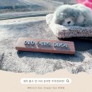 새차느낌 | 새차 오기 전부터 준비한 우드시엘 주차번호판 후기!