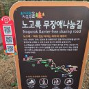 치유의 바람 | 대가족여행 제주 힐링코스-서귀포치유의숲과 산방산유람선 후기