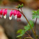 대일종합상사 이미지