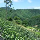 천혜농장 이미지