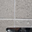 분당-판교-2024 이미지