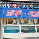 태평양산오징어