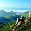 남해-170 이미지