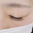 파리바게뜨 내포신도시점 | 내포속눈썹연장 맞춤시술 넘 예쁜 아이블링속눈썹 홍성내포점