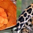 PC 게임나라 이미지