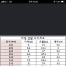 조공용 나이키 에어맥스95 이미지