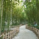 남강공원 이미지